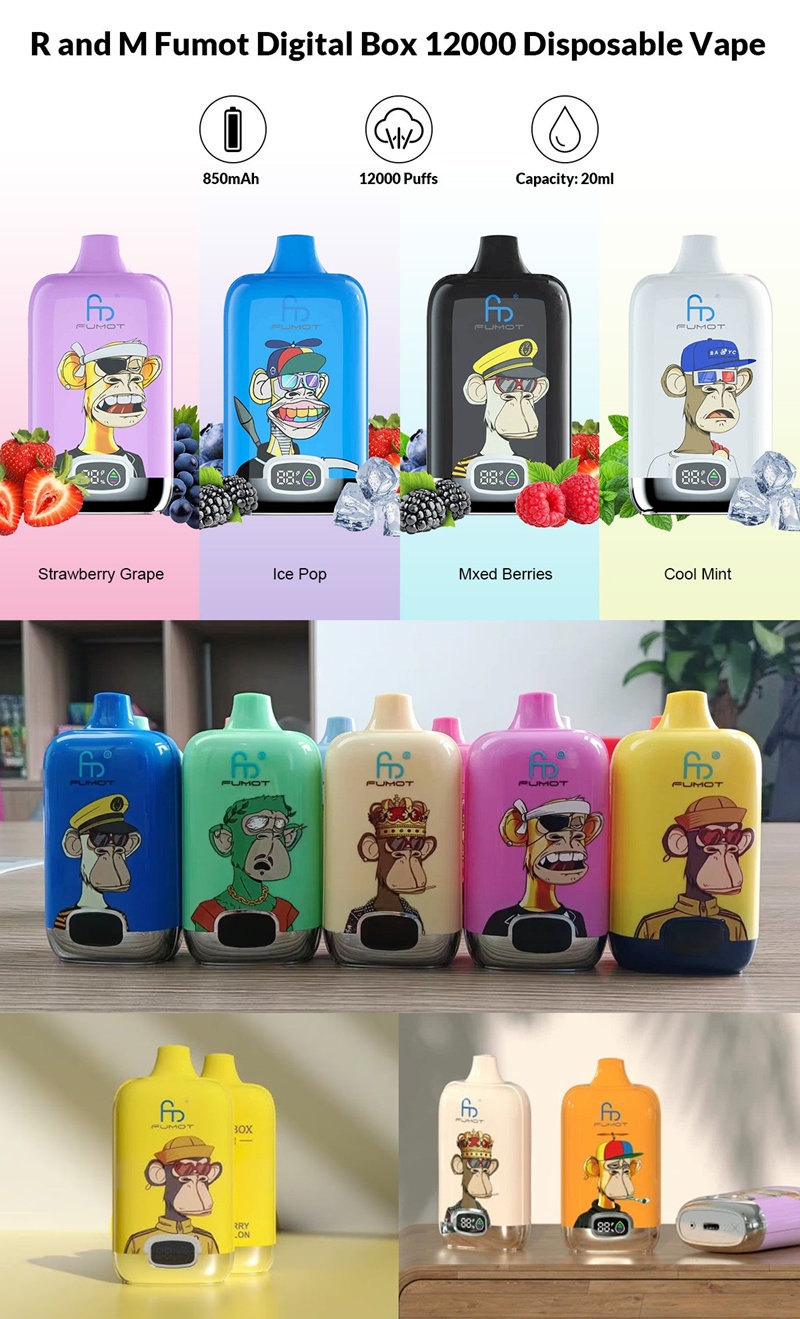 randm digital 12000 puffs disposable vape (15)