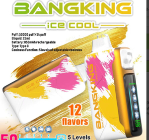 Bangking Icecool 50K Puffs 50000 50000 Puffs Vaporizer