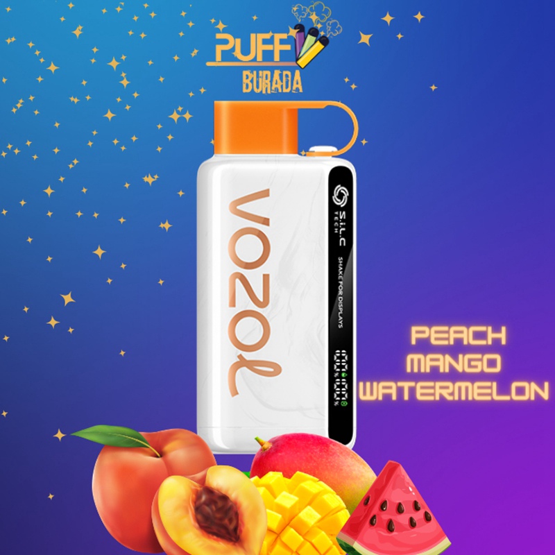 Gear E Cigarettes Vozol Star 12000 Puffs OLED Big Screen Vapes