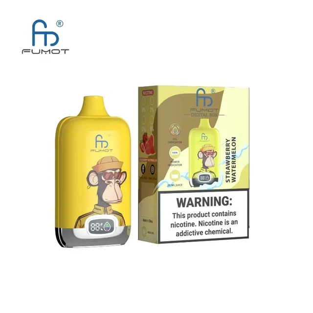 Randm Digital Box 12K 12000 Puffs Vaper Digital Screen Vaporizer